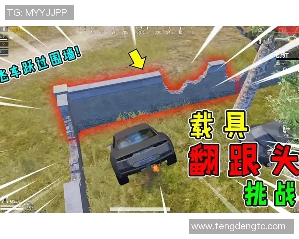 揭秘和平精英成功背后的故事与刘丽的独特见解实时新闻